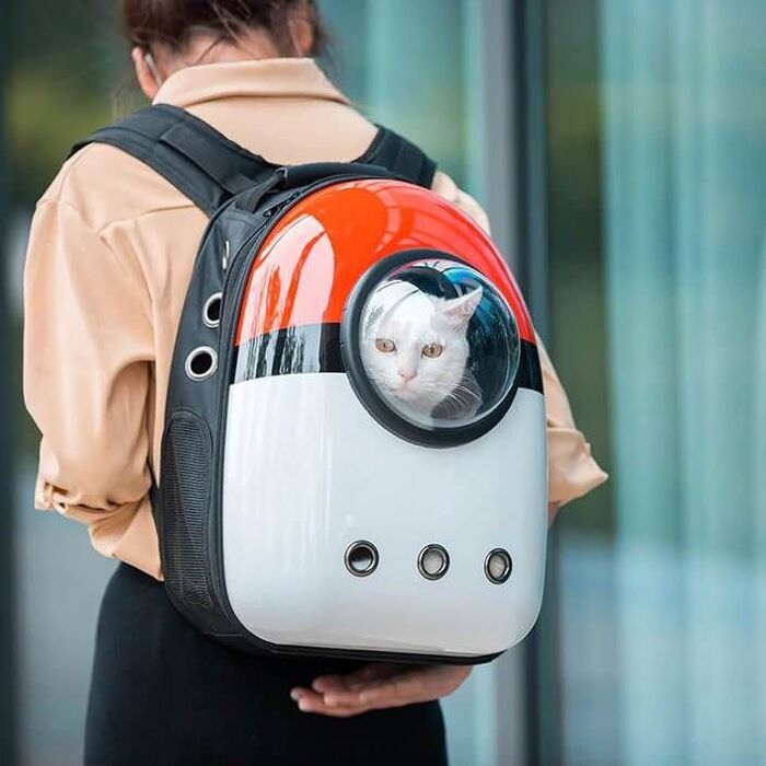 chats-voyage-sac-a-dos